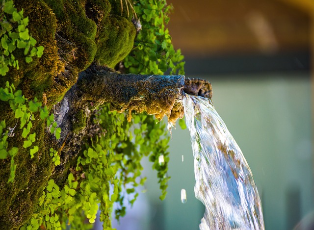 L'eau dans la Bible